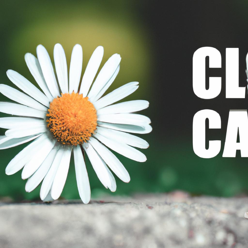 Criar Imagem Ia Grátis: Aplicativos para Celular e Pc